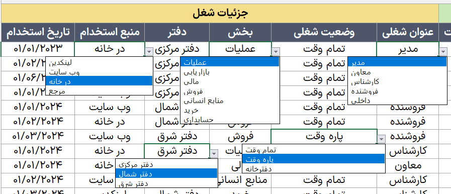 فایل اکسل مدیریت پایگاه داده منابع انسانی - CRM - کارکنان - 100% پیشرفته مدیریت پایگاه داده منابع انسانی-جزئیات شغل